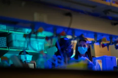 Blue light photo of Dr. Memarzradeh in lab with trainee discussing experiments. 