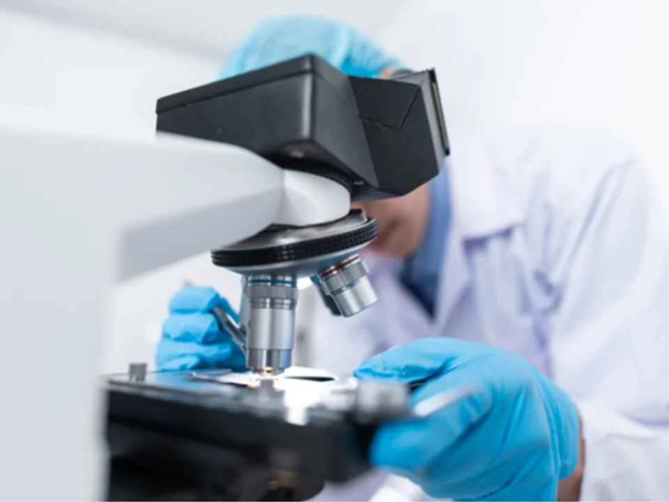 A researcher at the bench, looking into a microscope.