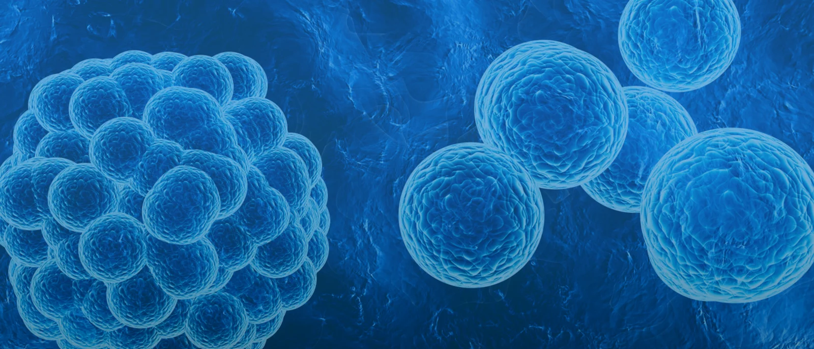 cells on blue background banner