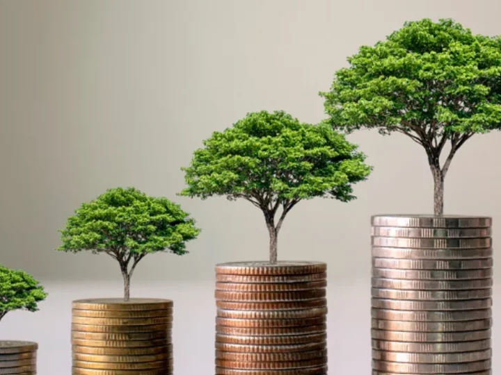 growing small trees on stacks of coins at the base